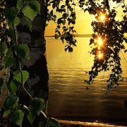 205150358c5db371810af09b5635a45d